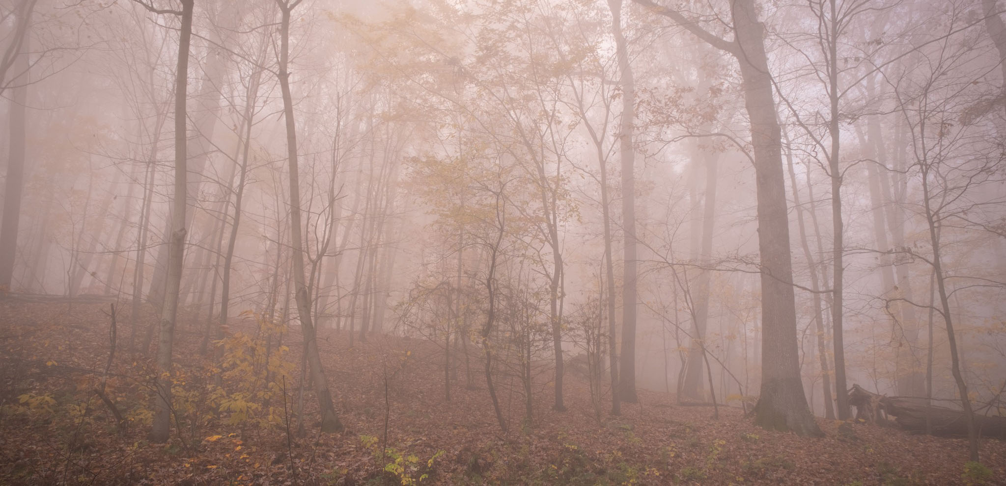 Fog over the hills at Dark Hollow