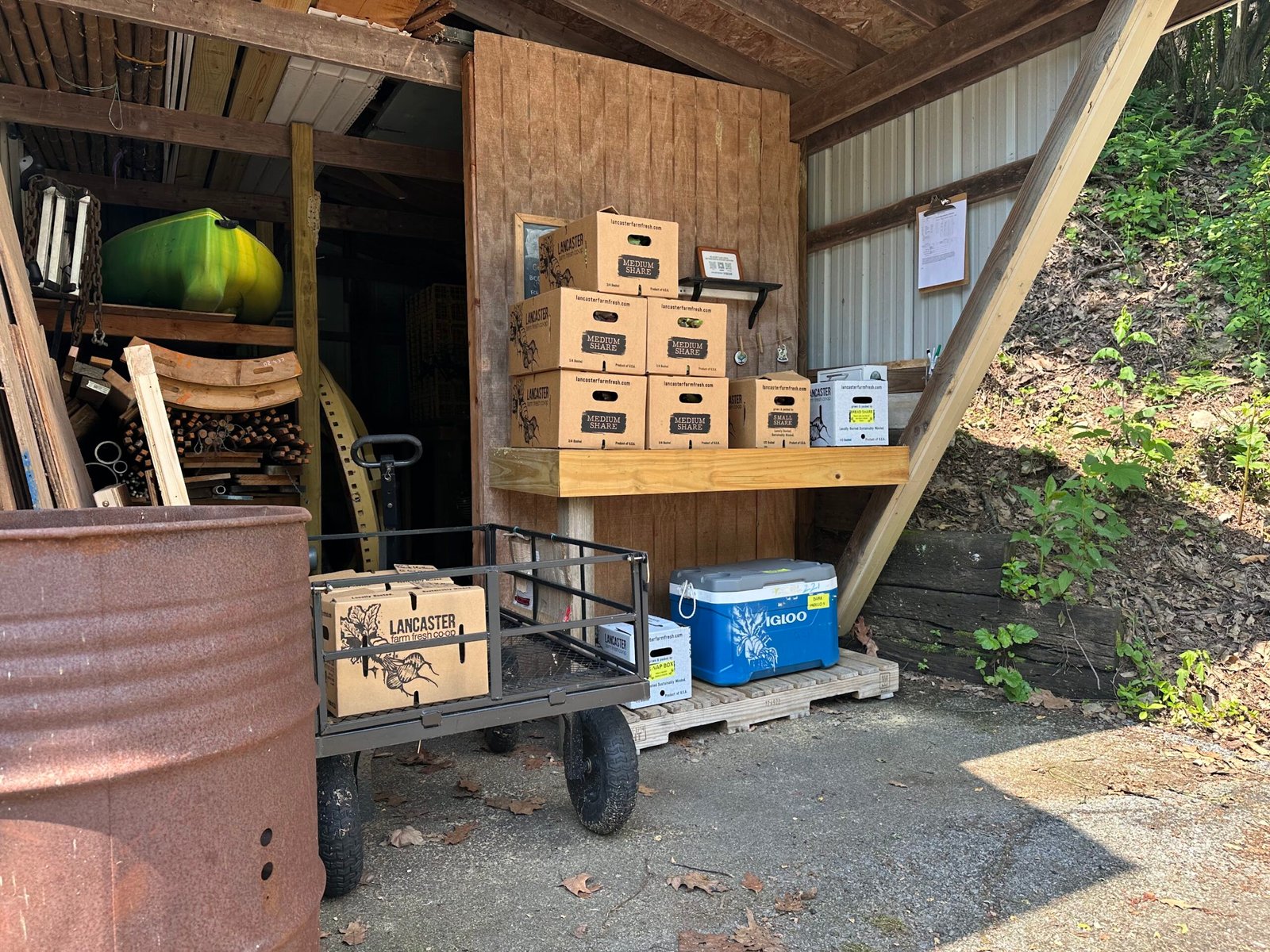Seasonal farm food at Dark Hollow