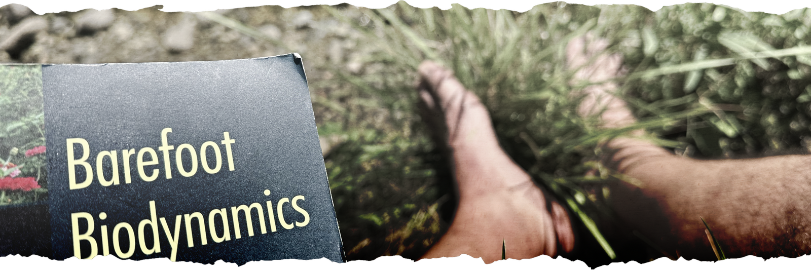 Reading outdoors at Dark Hollow