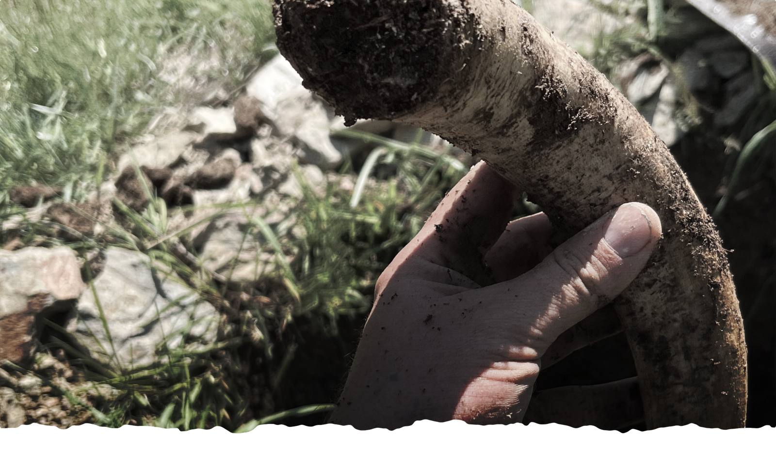 Biodynamic preparation work at Dark Hollow