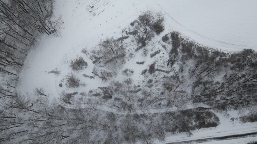 Several log-and-branch check dams crossing a snow-covered wooded pasture at Dark Hollow
