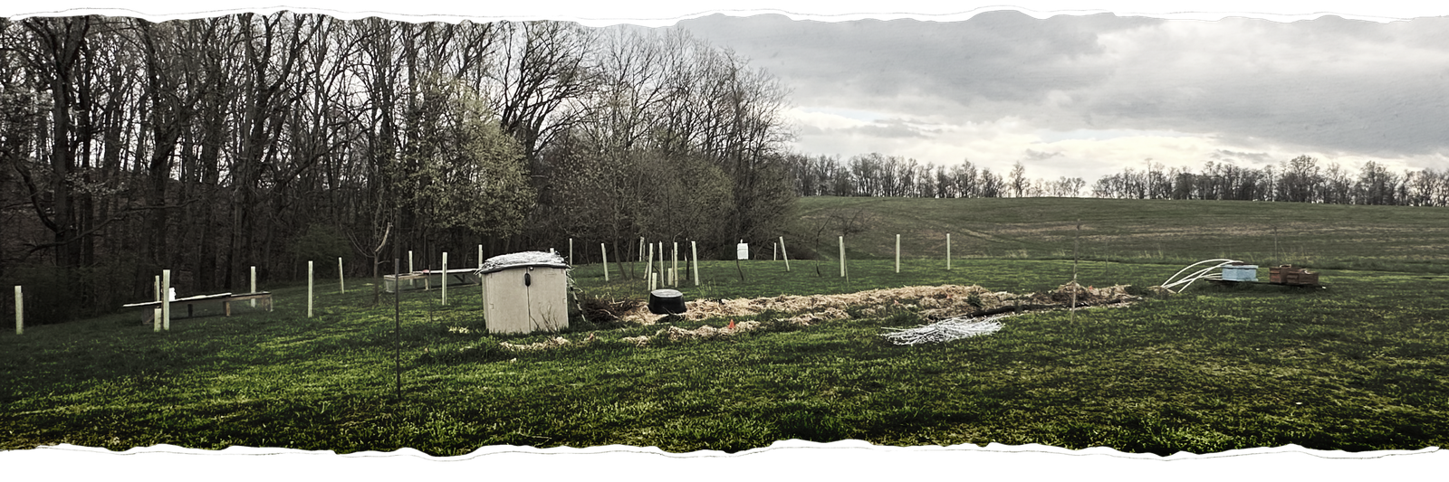 Emerging garden at Dark Hollow