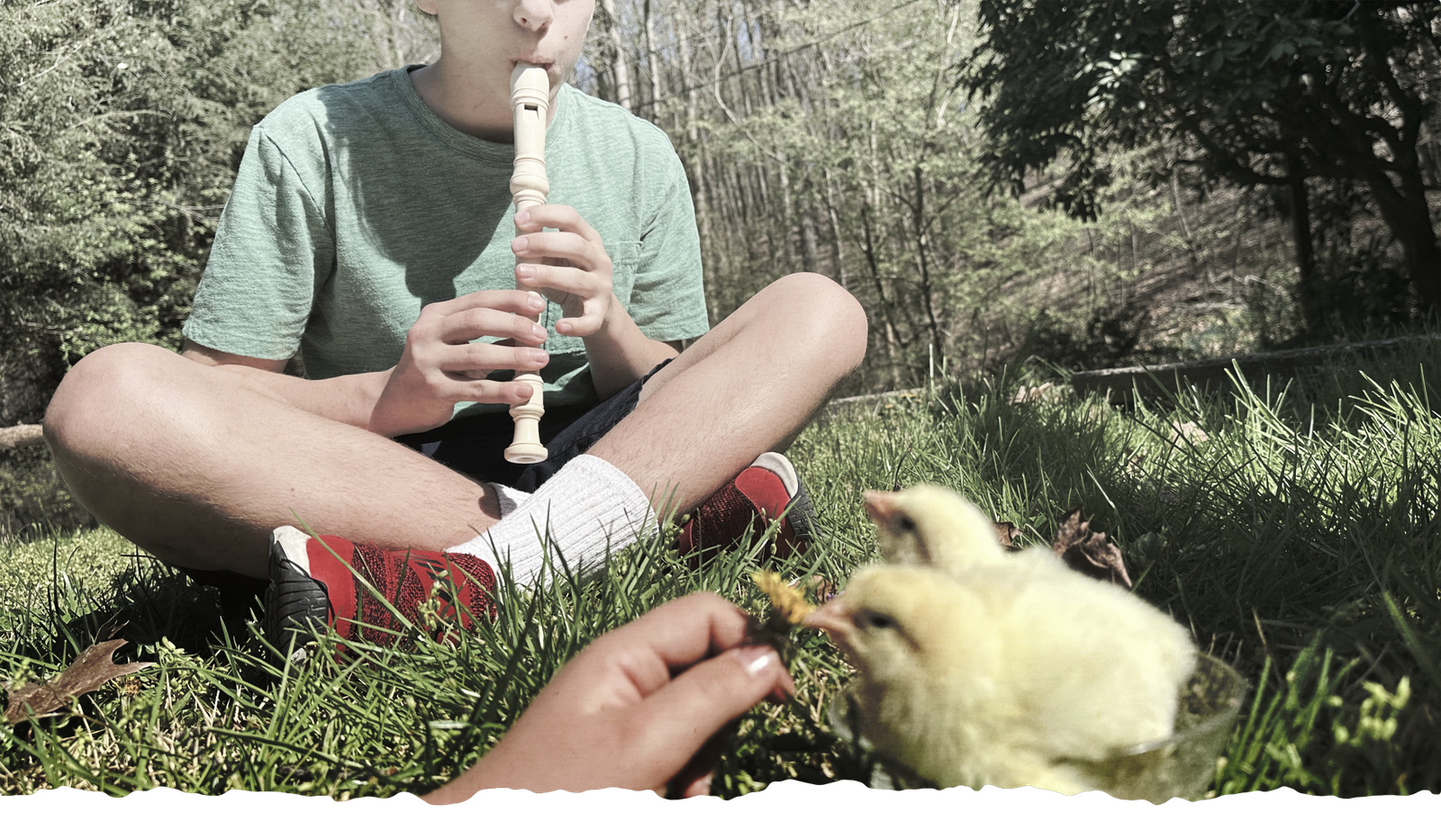 Hands-on farm learning at Dark Hollow