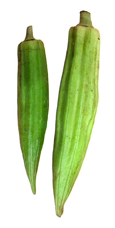 Two Fresh Okra Pods, side by side.