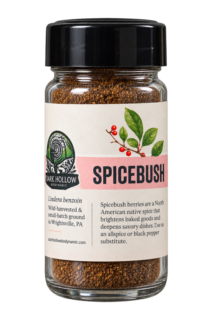 Spicebush Bottle