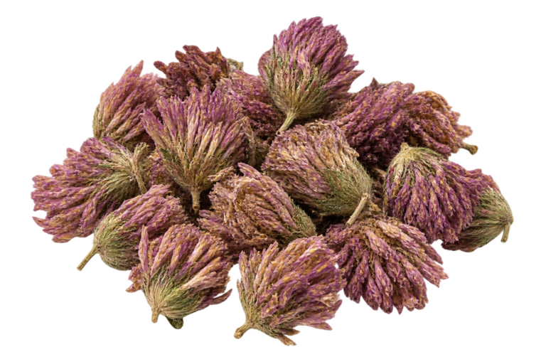 dried red clover blossoms for tea making