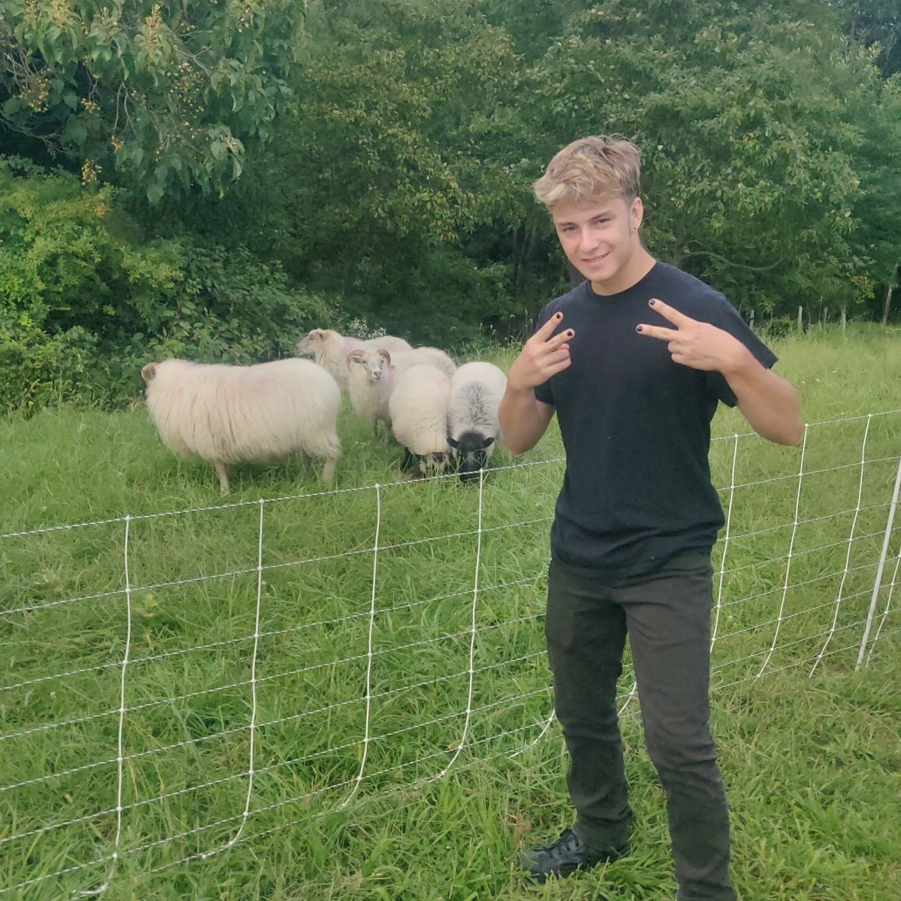 James and the giant sheep